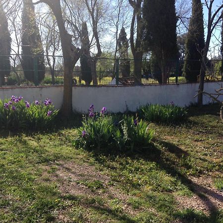Agroturismo Calixto Villarrobledo Exteriör bild