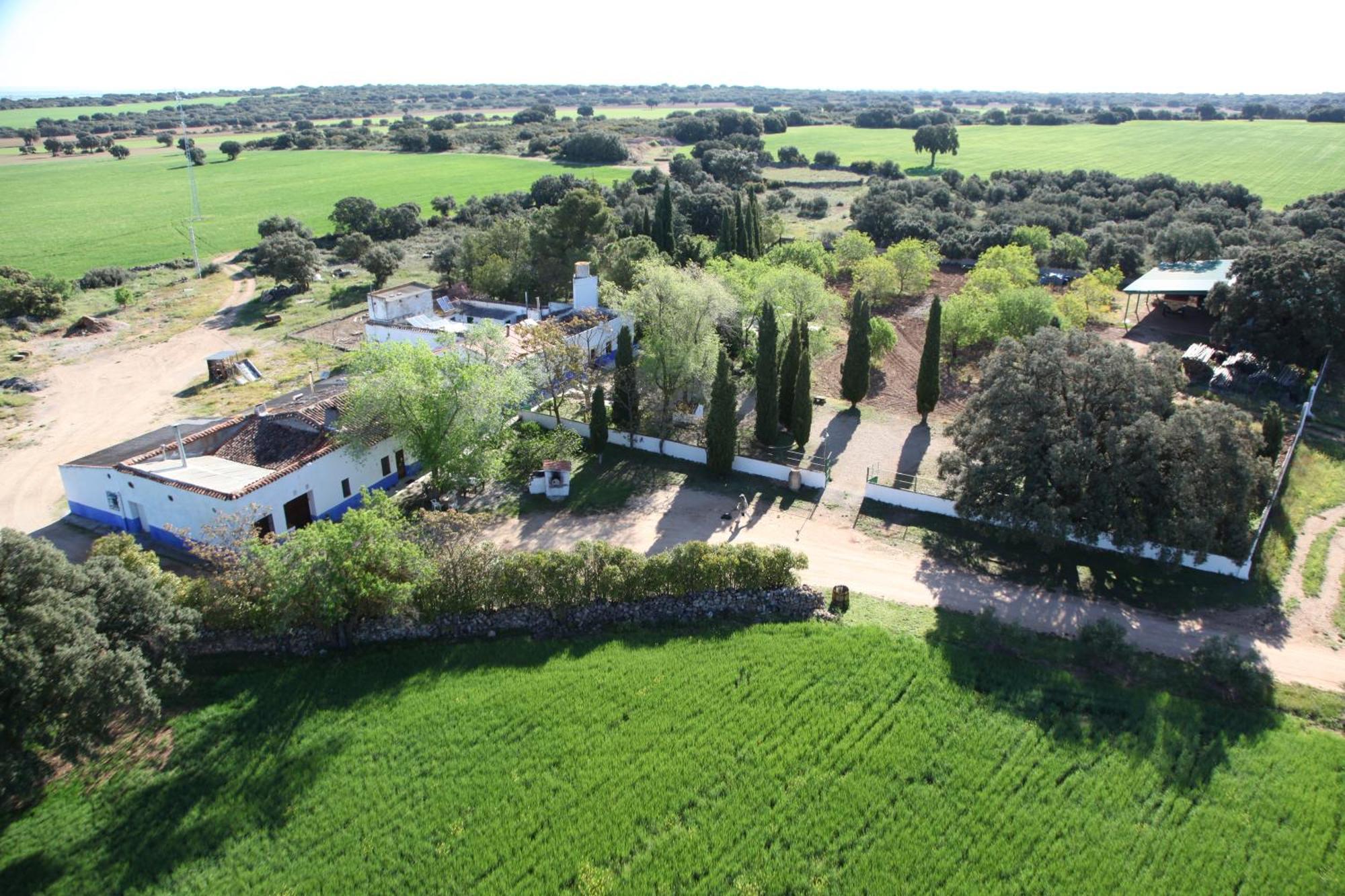 Agroturismo Calixto Villarrobledo Exteriör bild