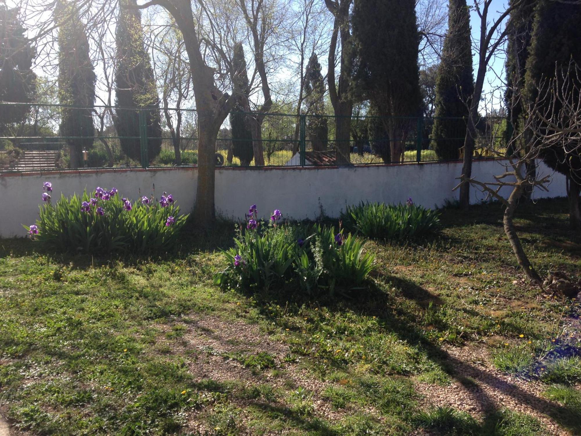 Agroturismo Calixto Villarrobledo Exteriör bild