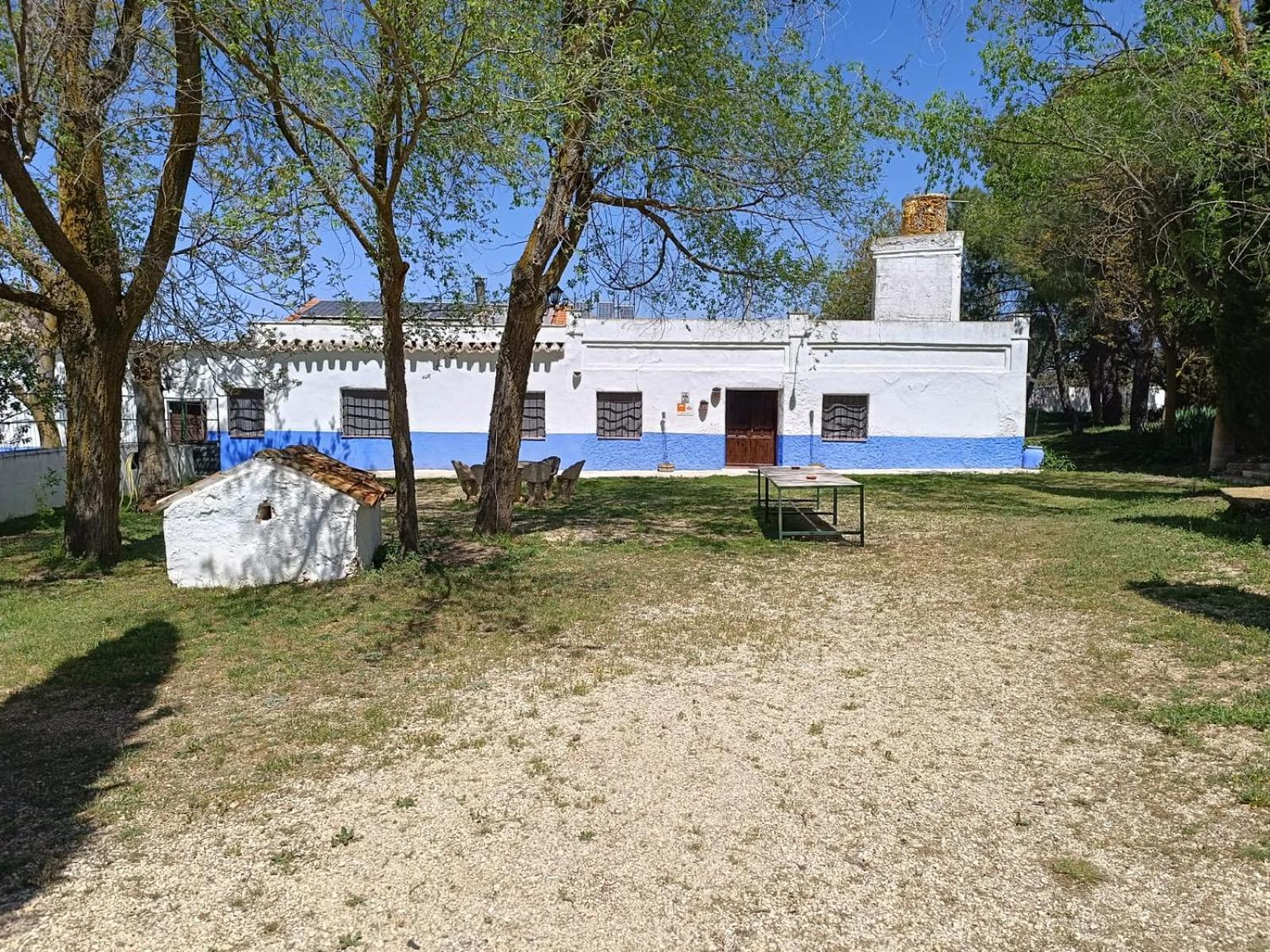 Agroturismo Calixto Villarrobledo Exteriör bild